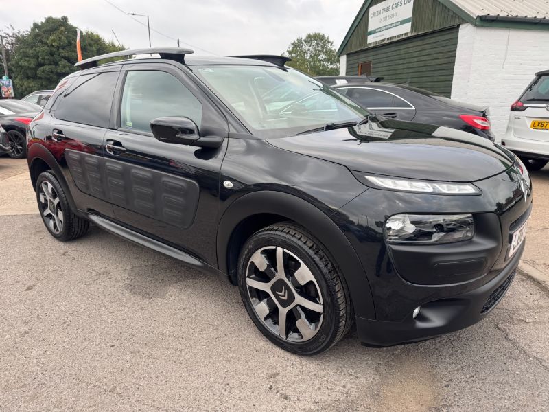 CITROEN C4 CACTUS PURETECH FLAIR - 2594 - 3