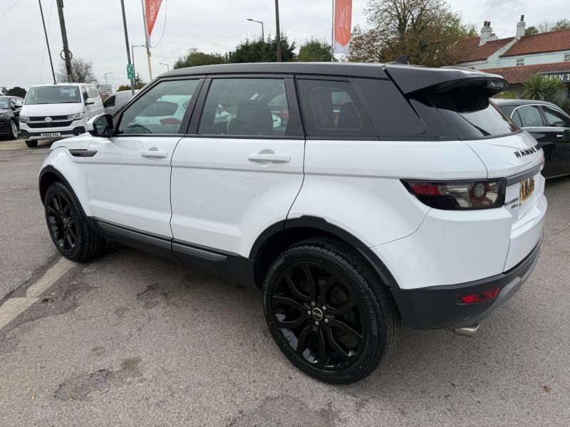 LAND ROVER RANGE ROVER EVOQUE SD4 PURE - 2629 - 8